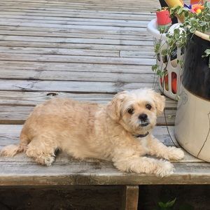 Meet your Posher, Jillian